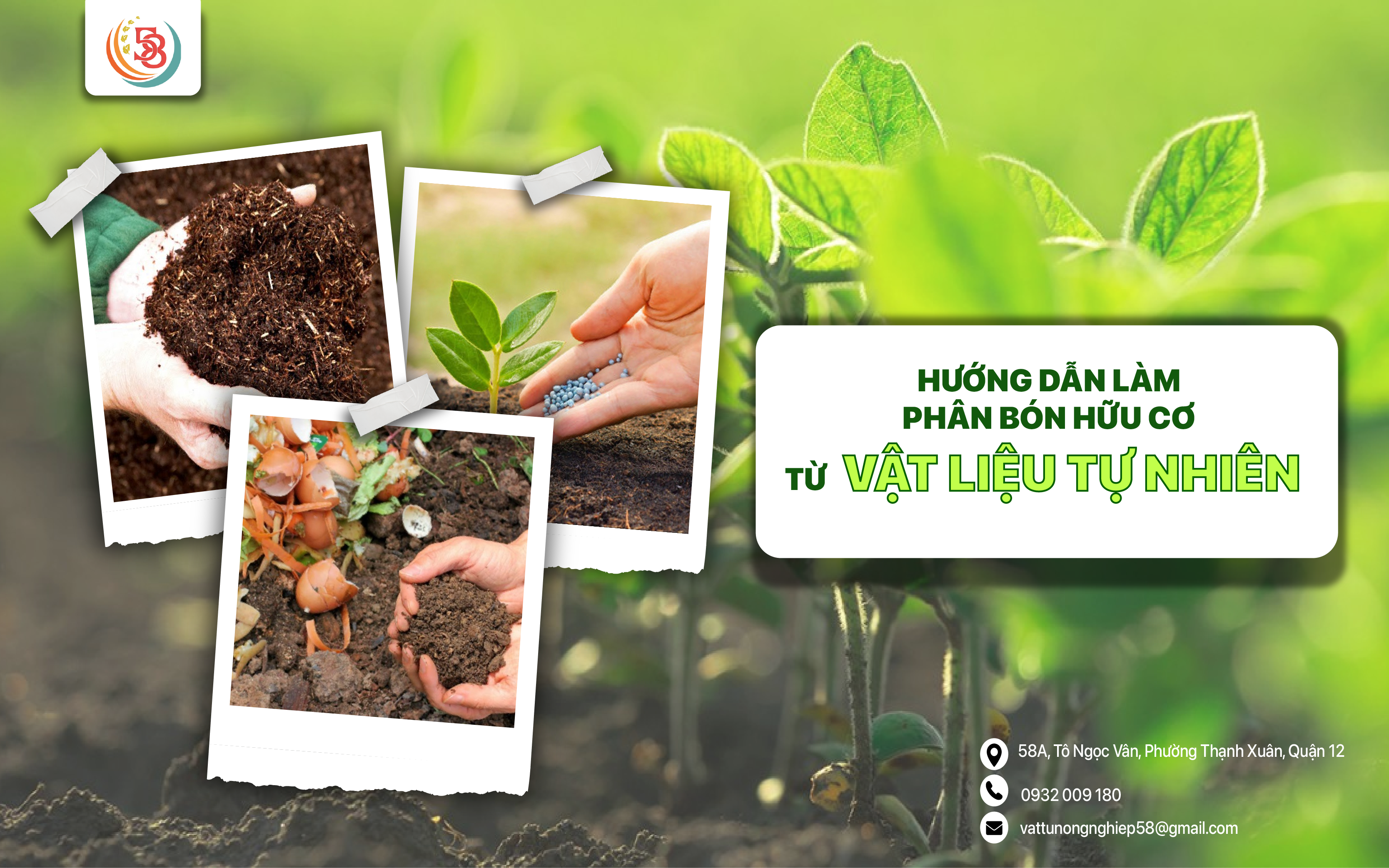 HƯỚNG DẪN LÀM PHÂN BÓN HỮU CƠ TỪ VẬT LIỆU TỰ NHIÊN TẠI GIA